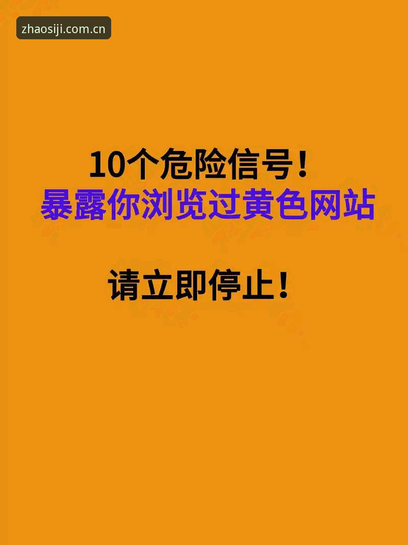 四季正版网址安全吗？最新动态：用户需警惕仿冒平台，官方入口这样找